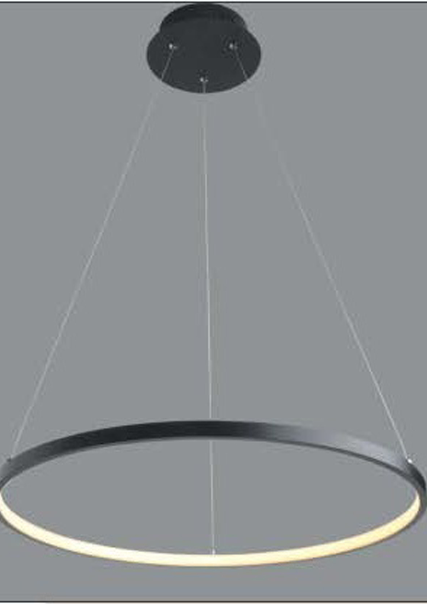 Beyond Lights - Ring Pendant Lamp- GL